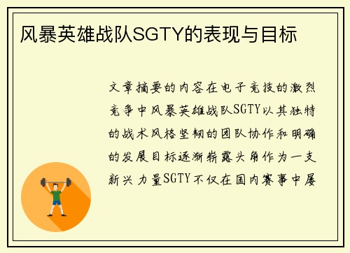 风暴英雄战队SGTY的表现与目标